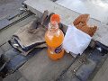 IMG_20250607_123738_1