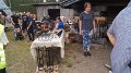 DSC05380