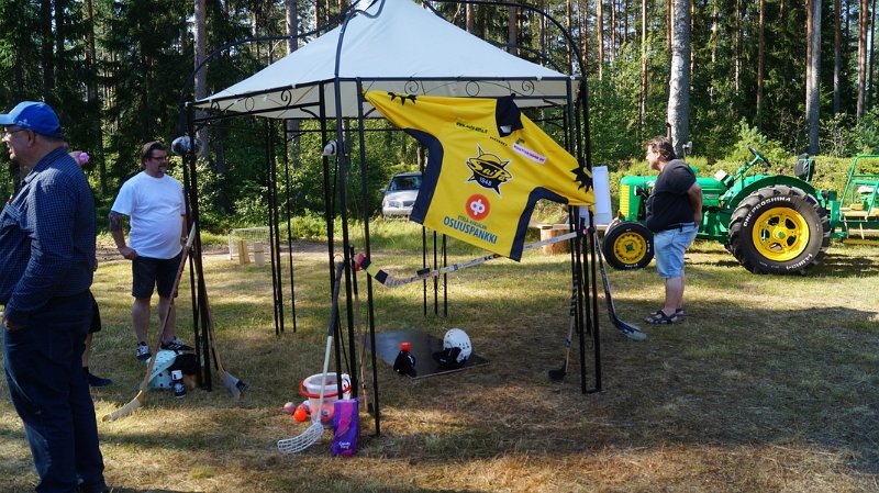 Yleisö2.jpg